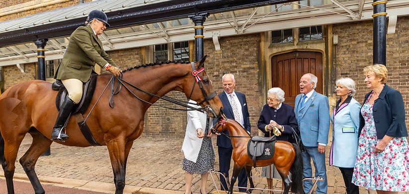 Platinum Jubilee Rocking Horse | Limited Editions | Stevenson